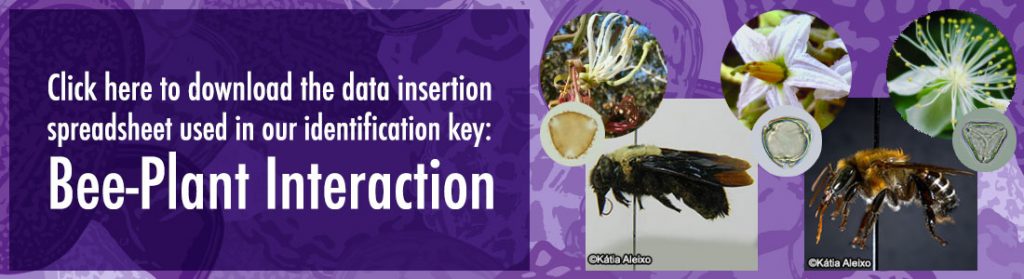 Click here to download the data insertion spreadsheet used in our identification key: Bee-Plant Interaction
