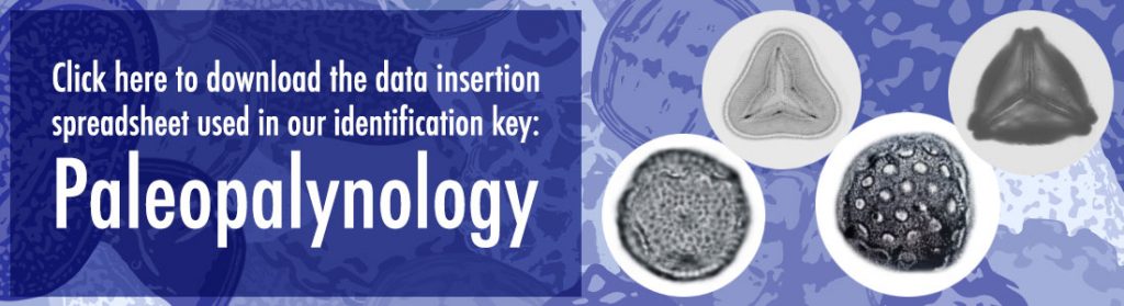 Click here to download the data insertion spreadsheet used in our identification key: Paleopalynology