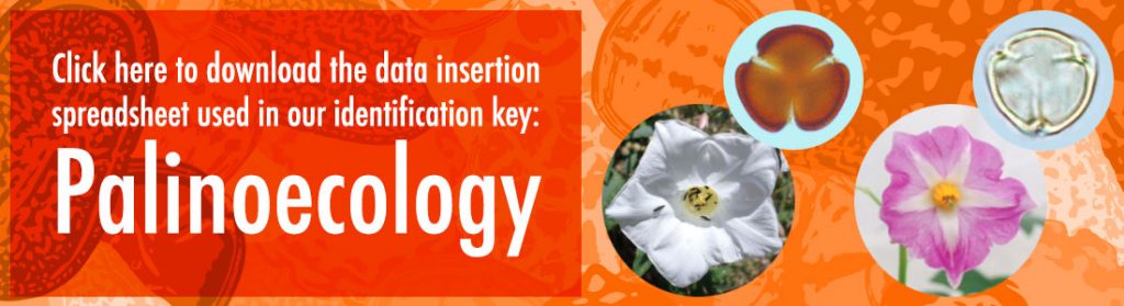 Click here to download the data insertion spreadsheet used in our identification key: Palinoecology
