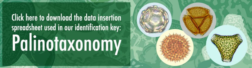 Click here to download the data insertion spreadsheet used in our identification key: Palinotaxonomy