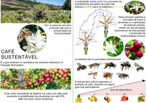 Café Sustentável